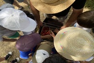 Kinder und Erwachsene beugen sich über eine Truhe mit Erdeeren.