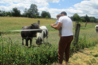 Ein Mann trägt einen kleinen jugen auf den Arm. Sie sehen sich gemeinsam zwei Ponys an.